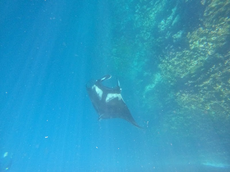 Punta Garcia Snorkel