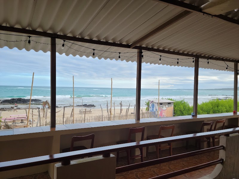 Blue-footed Booby Nests