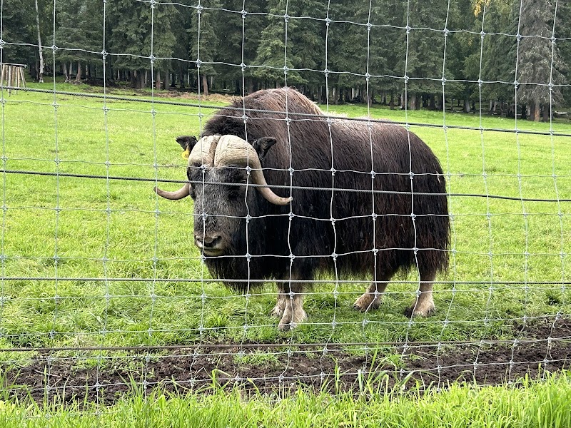 Large Animal Research Station