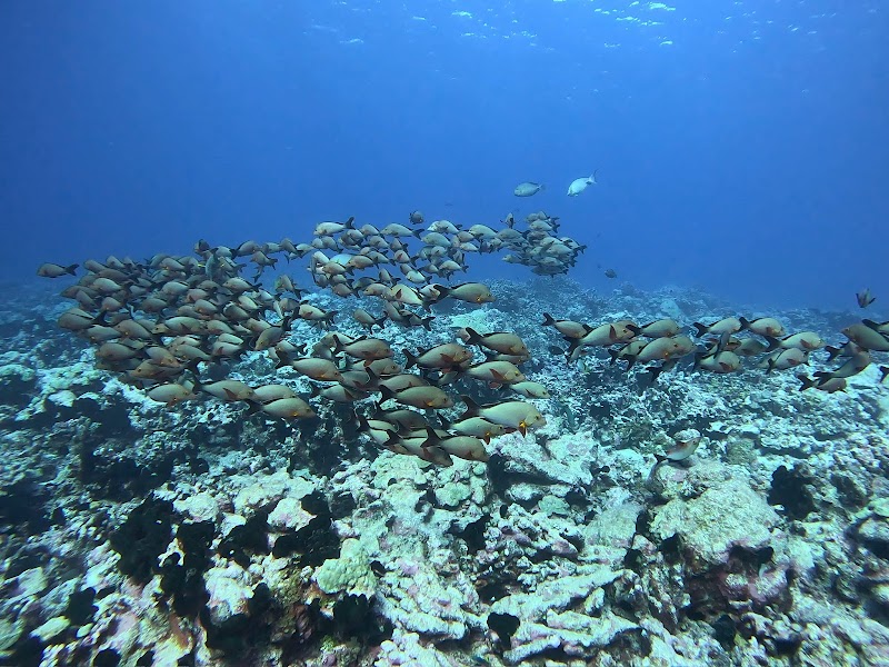 South Pass (Tumu Tei)