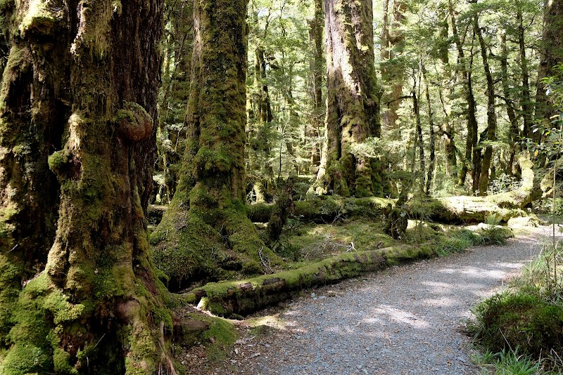 Lake Gunn Nature Walk