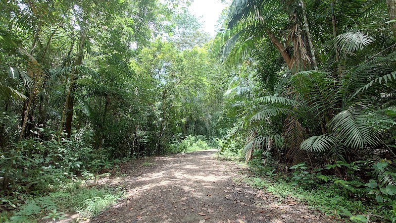 Pipeline Road Birdwatching