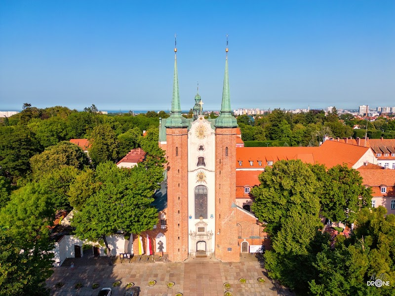Oliwa Cathedral & Park