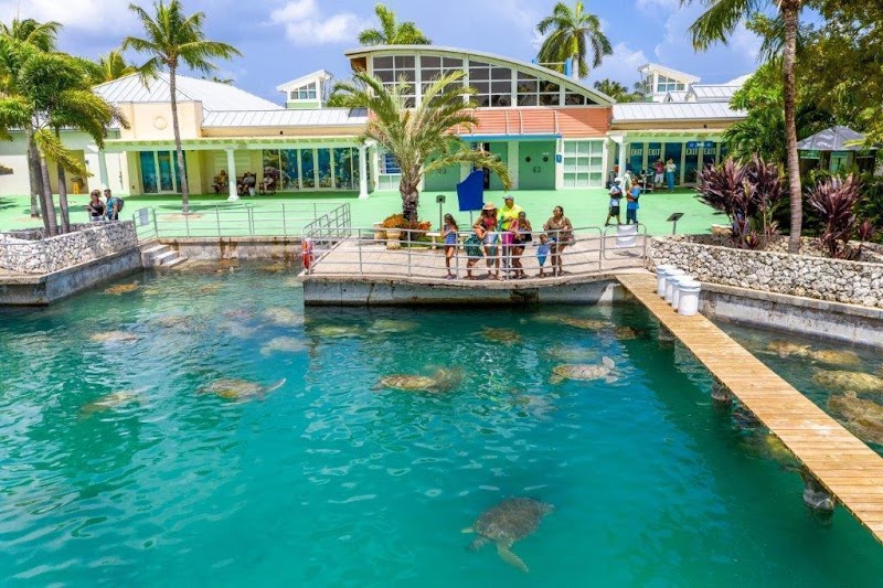 Turtle Centre