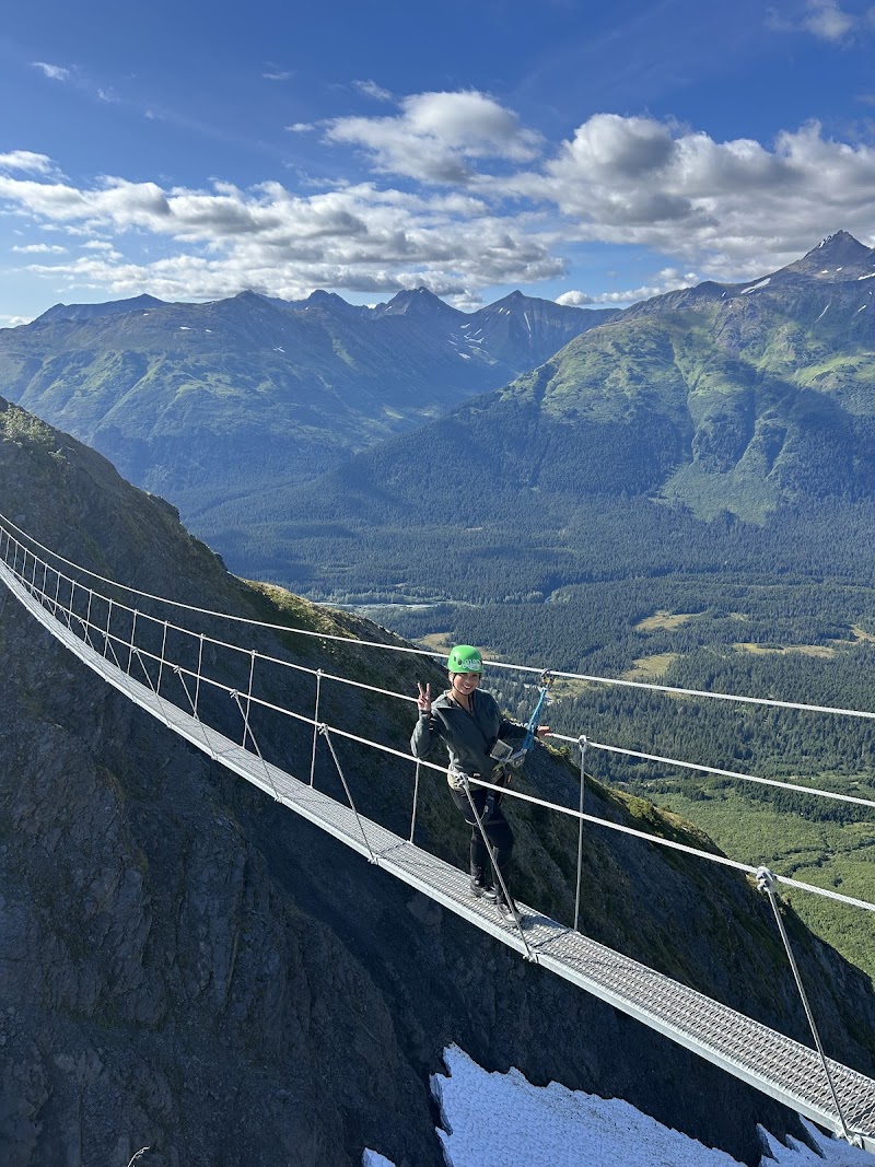Alpine Wildflowers Walk