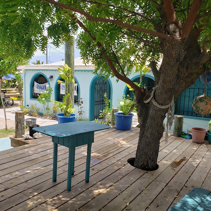 Grand Turk Diving Wall
