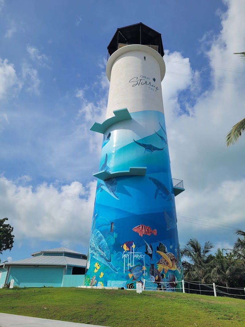 Tropic Flyer Zip Line