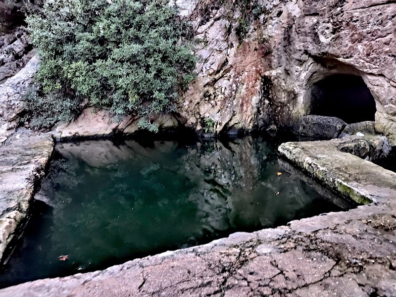 Haifa Underground Zoo (Worm Cave)