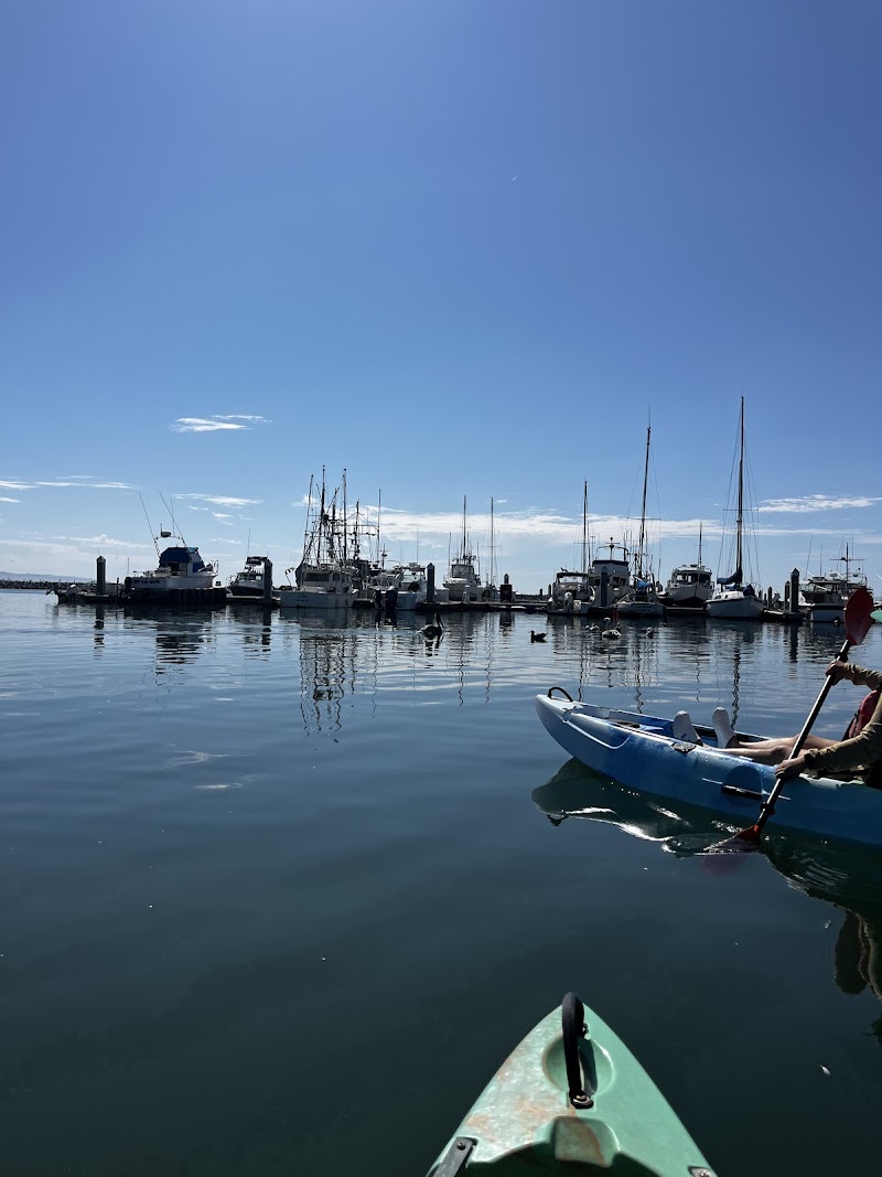 Tipi Toes Kayak & Paddleboard