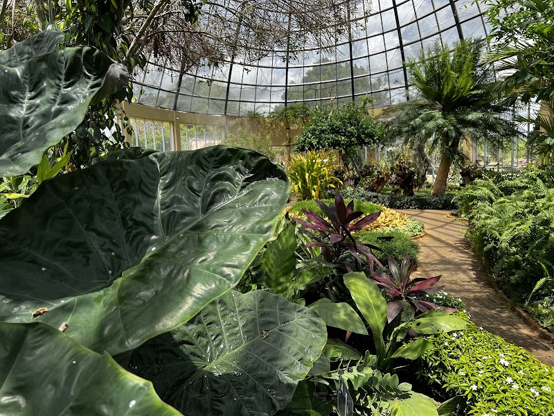 Mirijjawila Botanic Garden