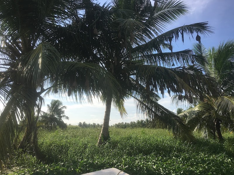 Maha Oya River Safari