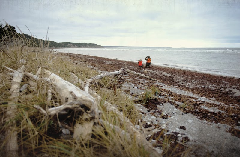 Anticosti Petrel Trail