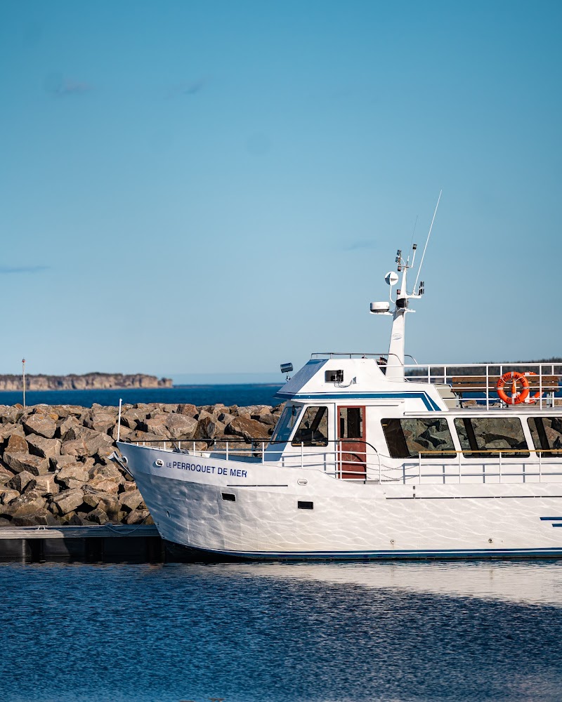 Seal Watching Cruise