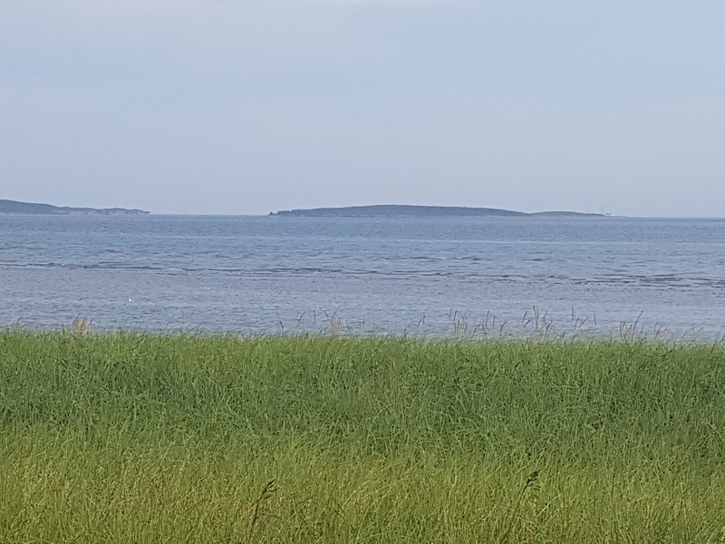 Forêt d'Épinettes Park