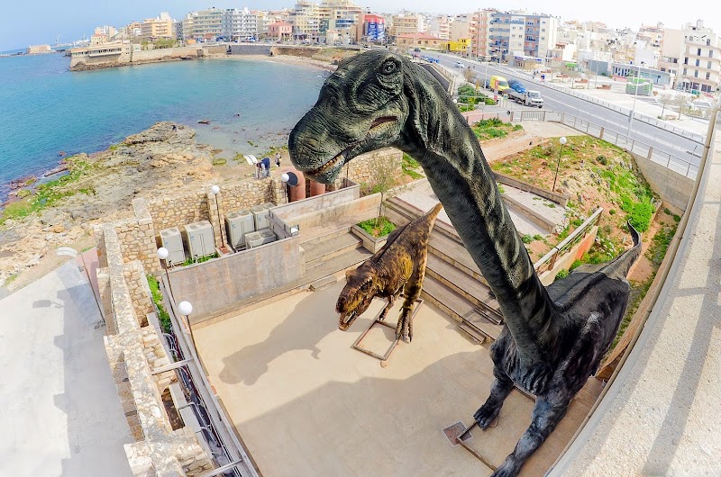 Natural History Museum