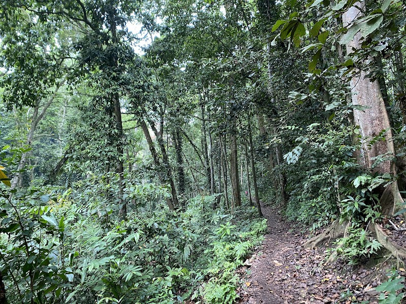 Honiara Botanical Gardens