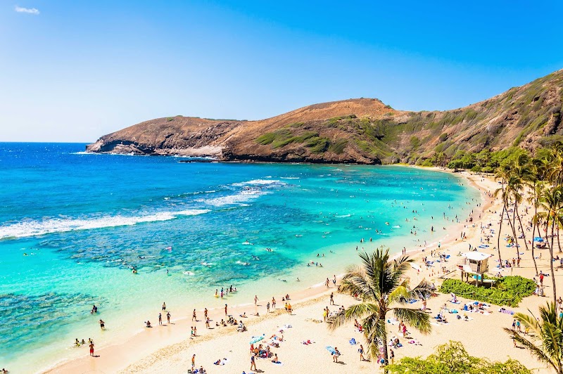 Hanauma Bay Snorkel