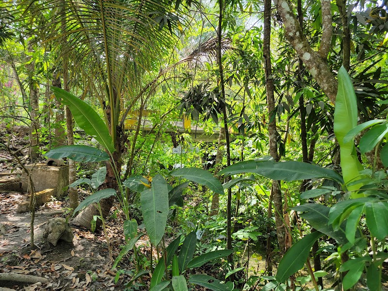 Coffee Tour Finca La Gloria