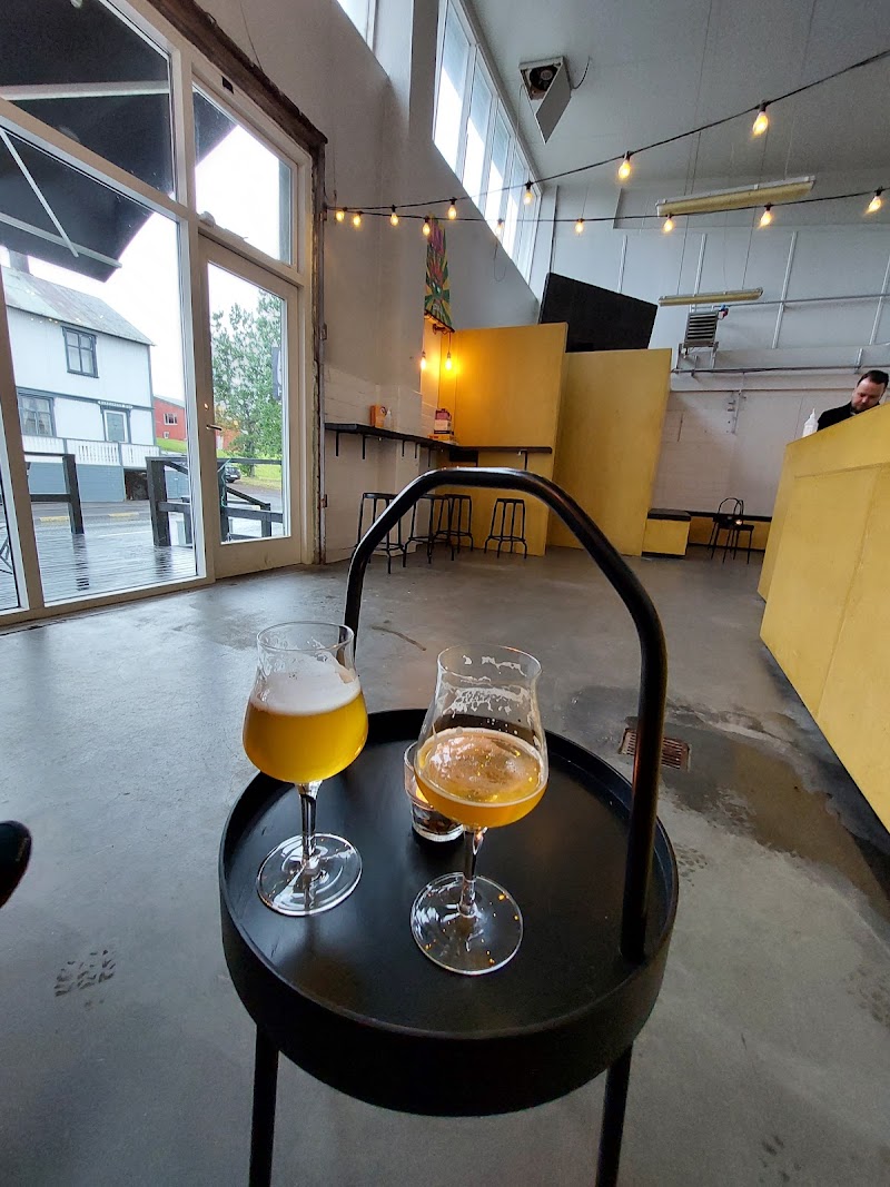 Harbour Beer Tasting