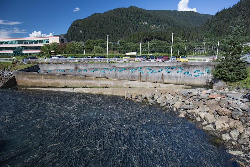 Macaulay Salmon Hatchery