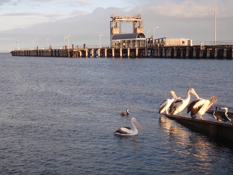 Penguin Centre at Kingscote