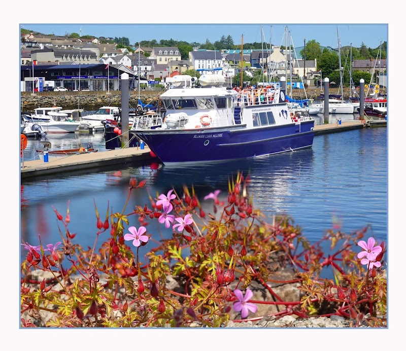Donegal Bay Seal Watching