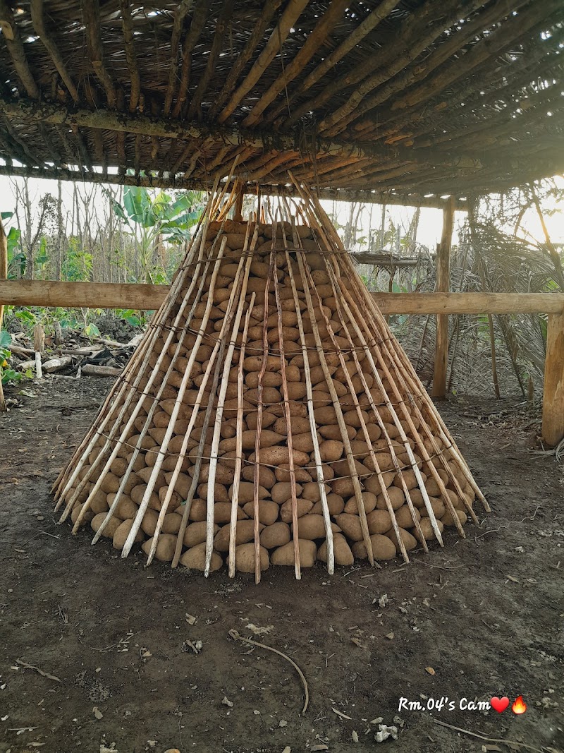 Trobriand Cricket Match