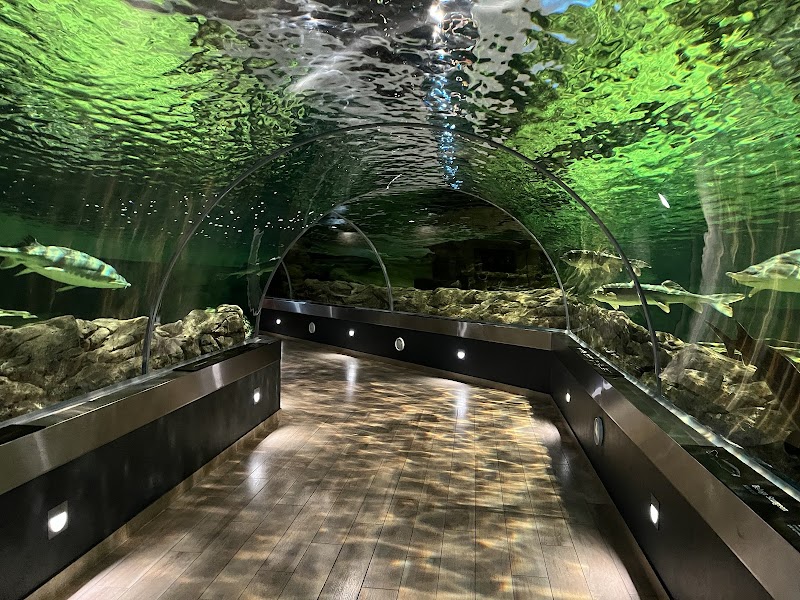 Lithuanian Sea Museum & Dolphinarium