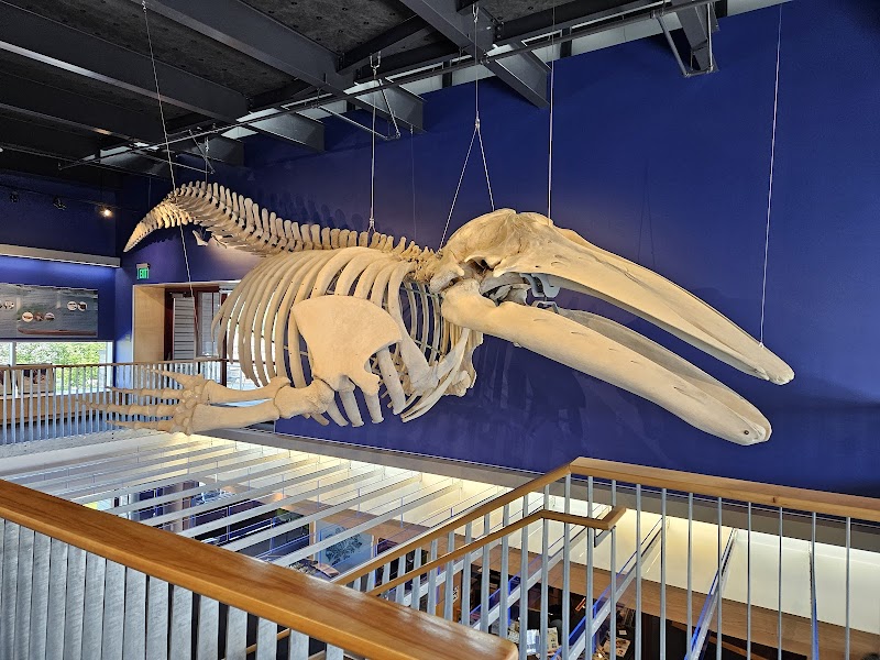 Near Island Nature Center