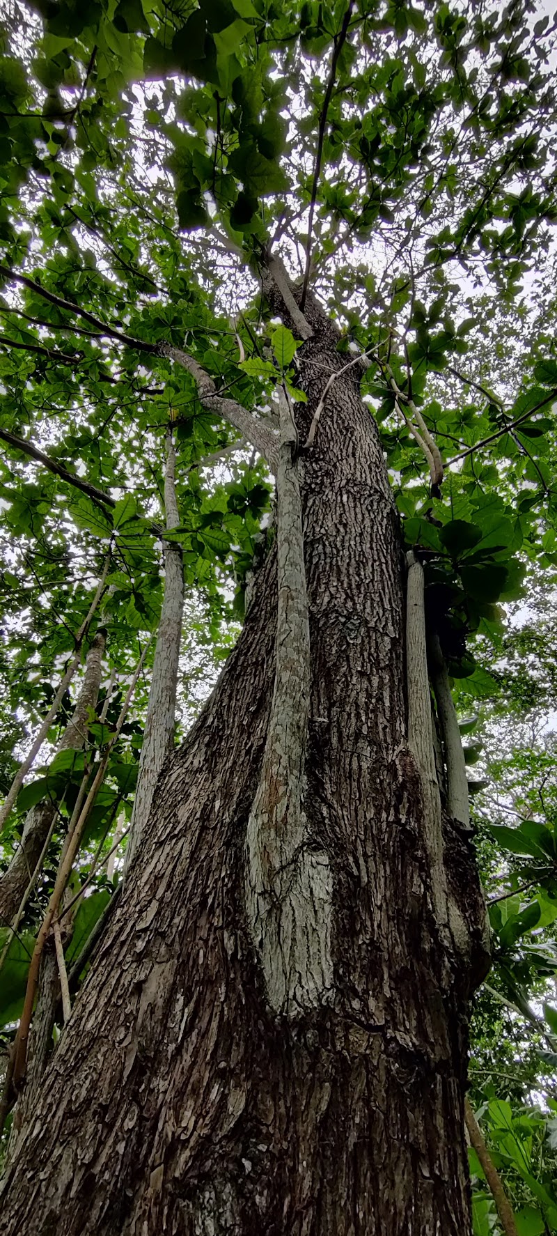 Veuve Nature Reserve