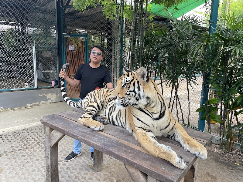 Sri Racha Tiger Zoo