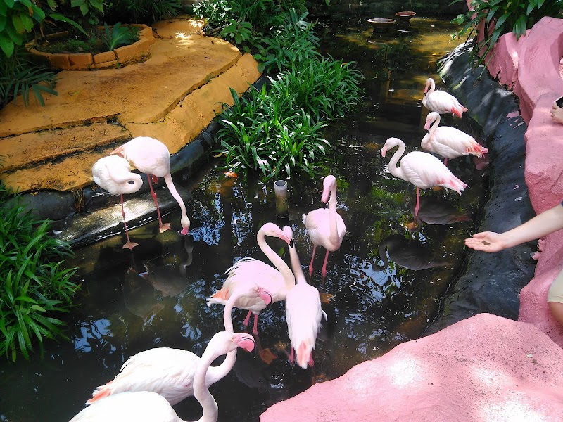 Langkawi Wildlife Park