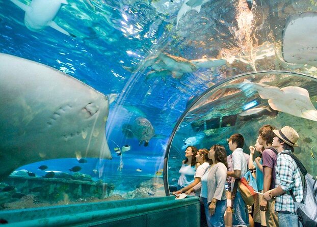 Underwater World Aquarium