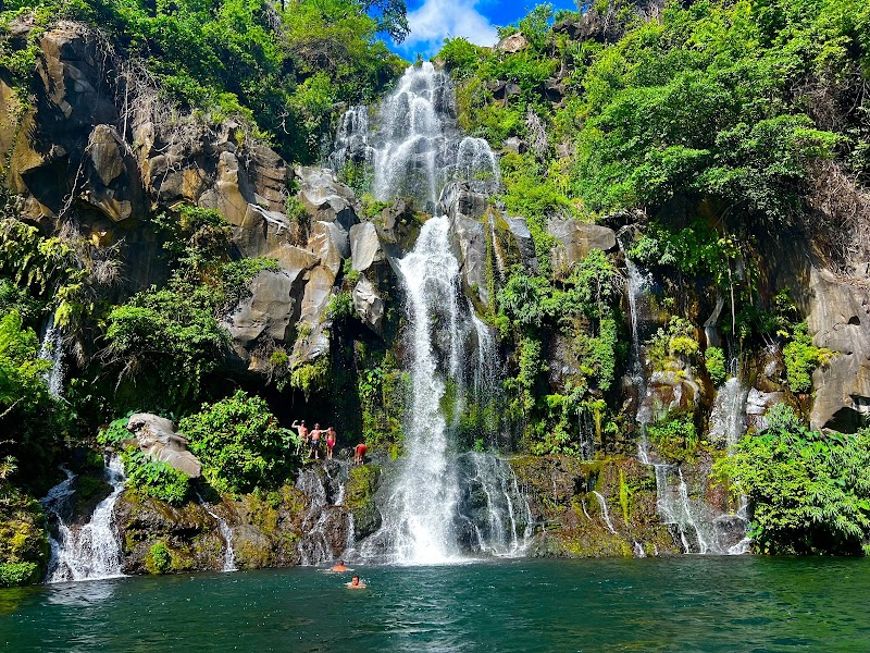 Bassin des Aigrettes