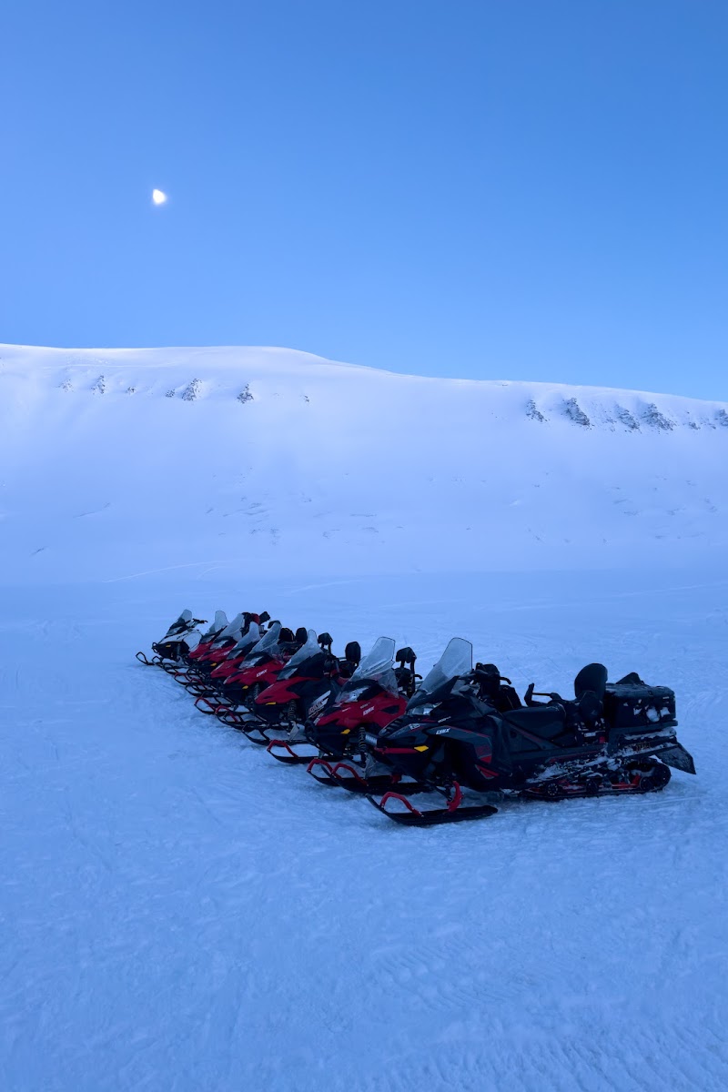 MS Polargirl Boat Tours