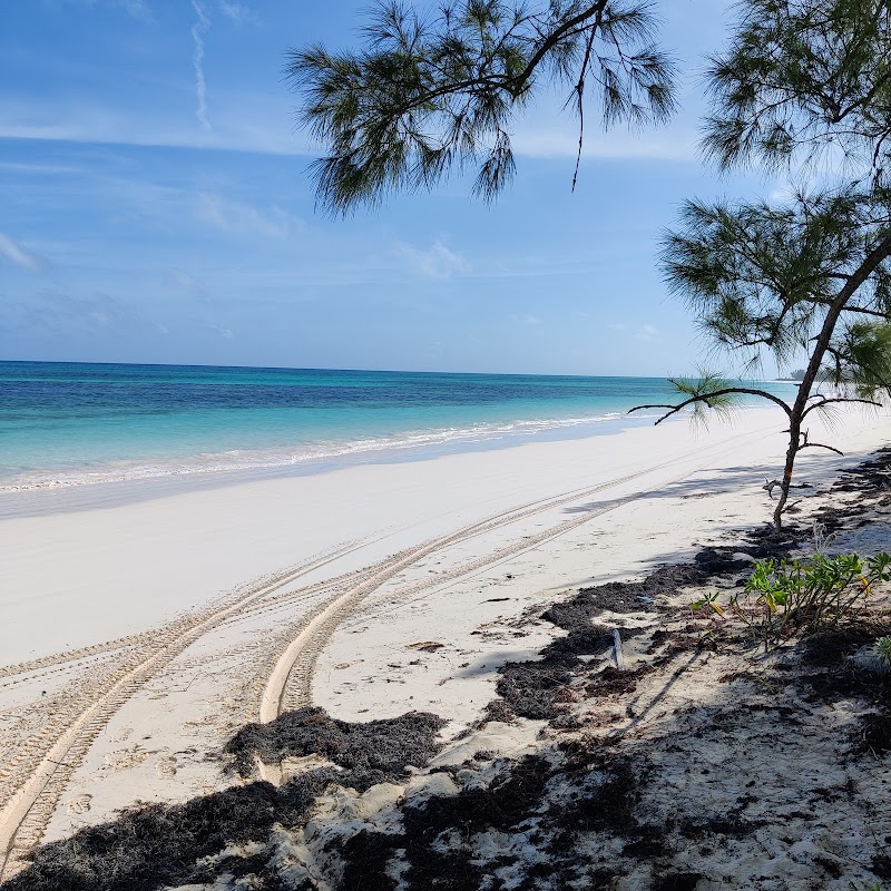 Lookout Cay Beach