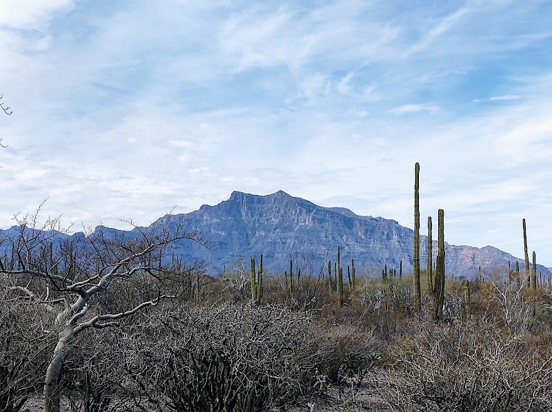 Sierra de la Giganta Hike