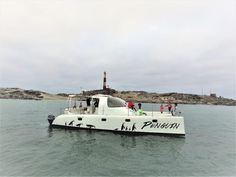 Halifax Island Seal Cruise
