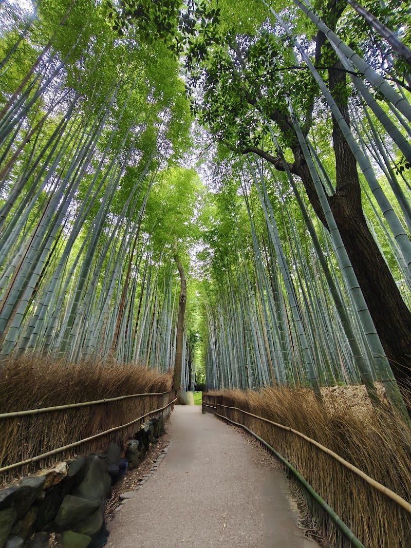 Otokuni Bamboo Grove Walk