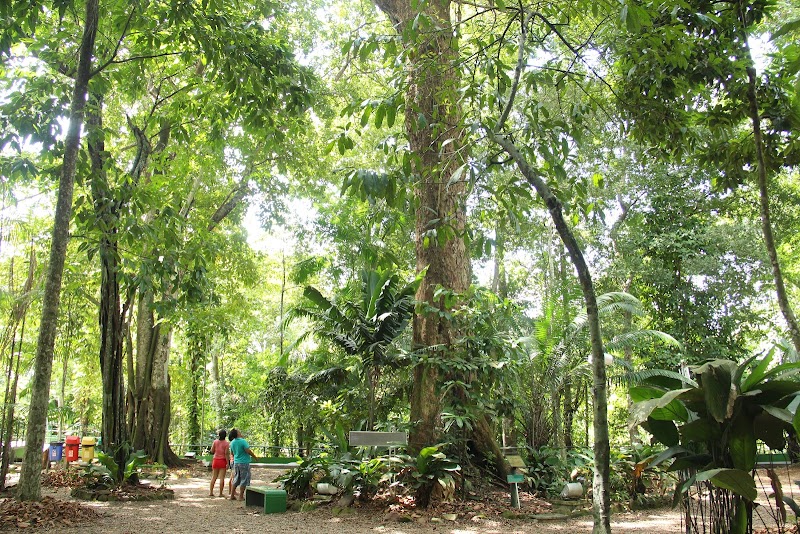 Bosque da Ciência