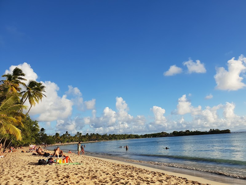 Anse des Salines Beach