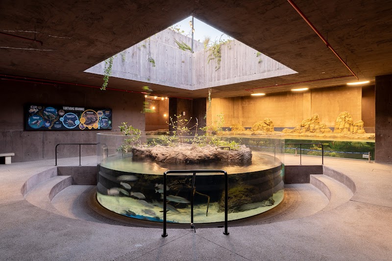 Mazatlán Aquarium