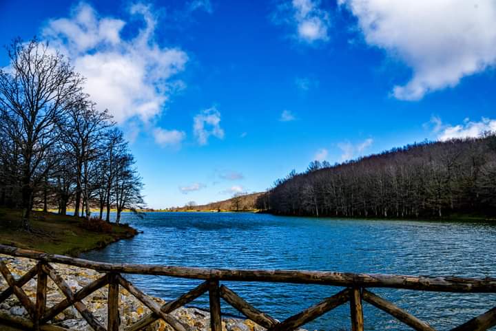 Ne Brolo Regional Park