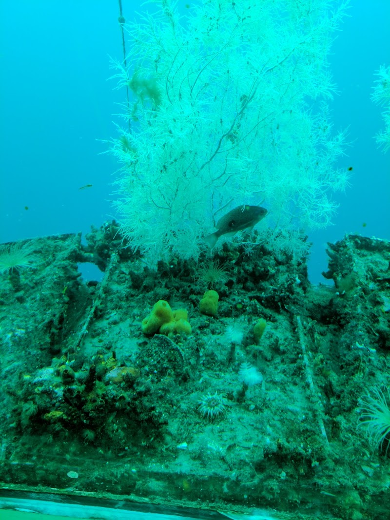Underwater Observatory
