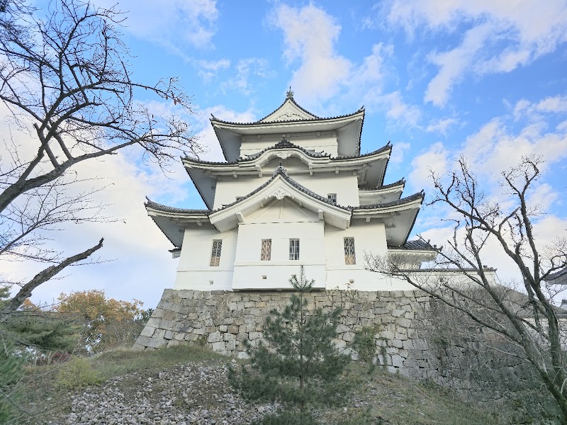 Ueno Castle Ruins