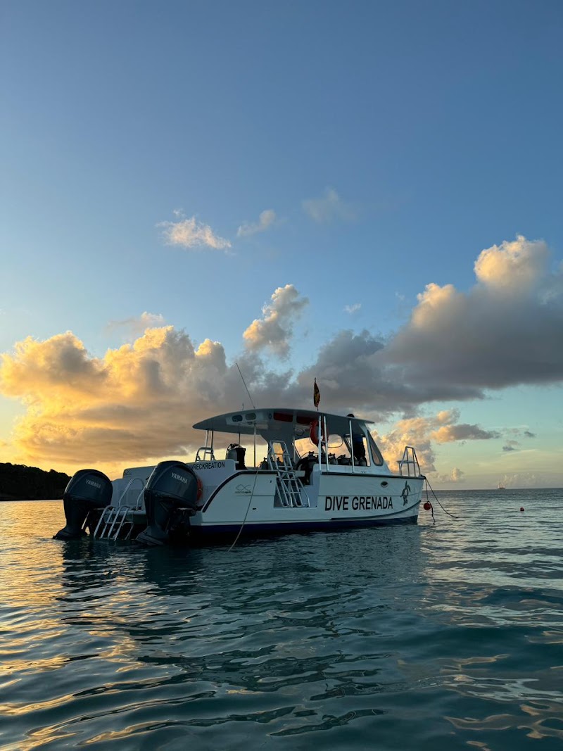 Snorkel Flamingo Bay