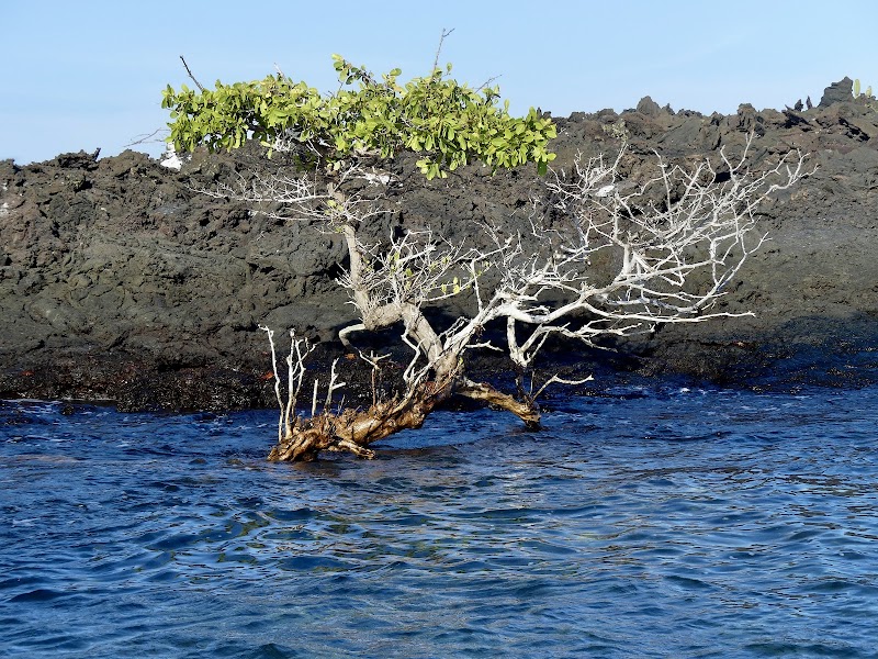 Flamingo Lagoon Moreno