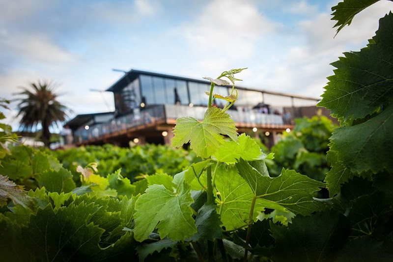 Jakkalsvlei Boardwalk