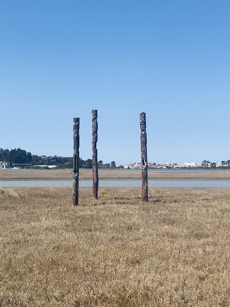 Ahuriri Estuary Walk