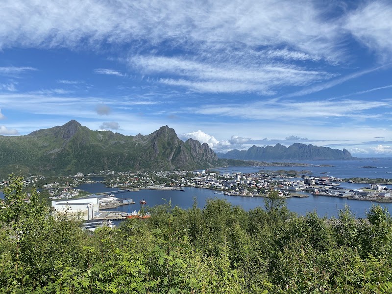 Linken Viewpoint Hike